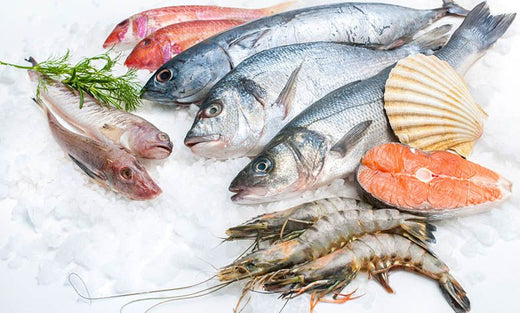 5 Best Types of Fish Every Seafood Lover Must Try