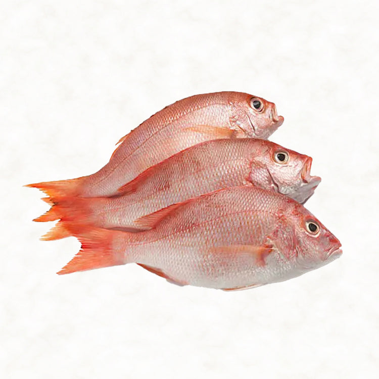 Other Fish