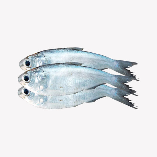 Block Fish – The Meat Corner