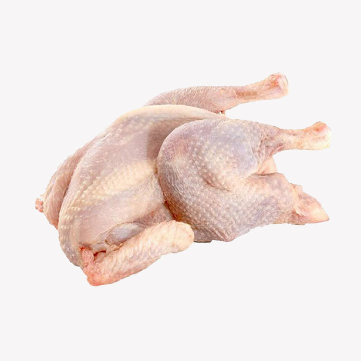 Country (Hard) Chicken/ Rooster Hand Slaughter- 3.0 Lbs Plus