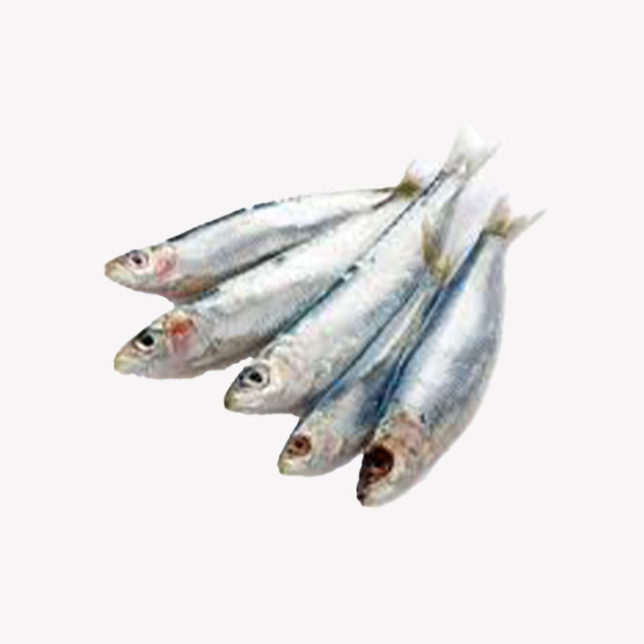 Fish Sardine White - 2 Lbs - Daily Delight