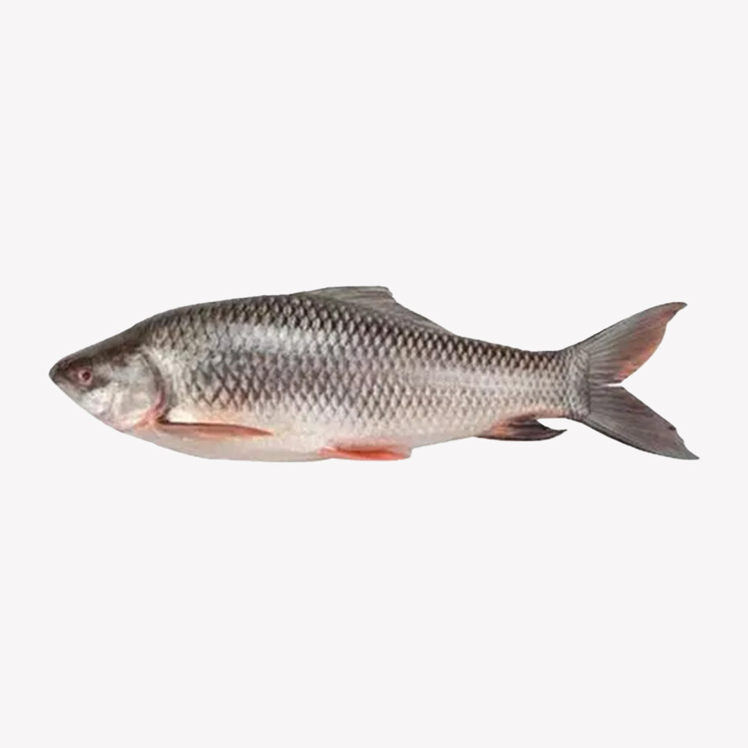 Chinese Rohu Rohu Whole 8.2 Lbs (Net 6.5 Lbs) – The Meat Corner