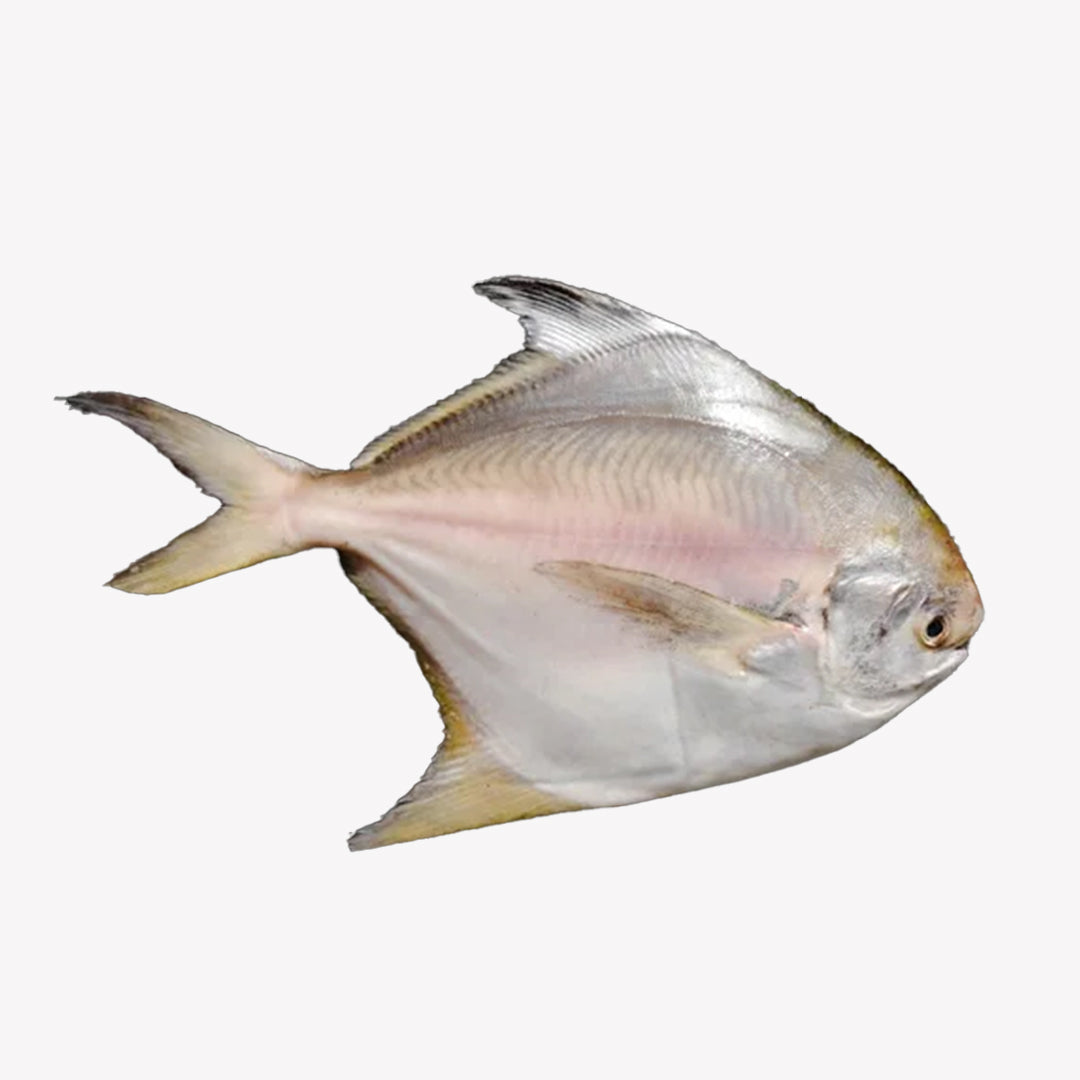 Whole Fish - Custom Cut – The Meat Corner