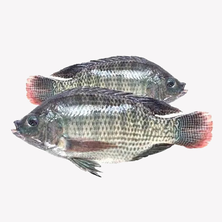 Tilapia Whole - 4 Lbs