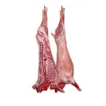 Eid Qurbani - Goat (35 To 40 Lbs Carcass)